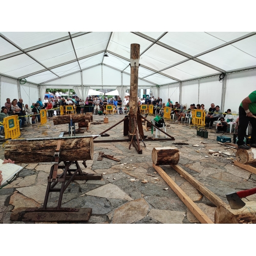 FERIA DE MUESTRAS DE VEGADEO 